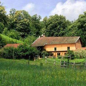 Le Mas De Planaise Bed and Breakfast Saint-Jean-d'Avelanne Exterior photo