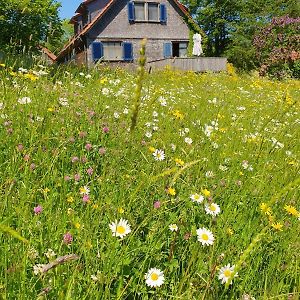 Rhoener Landhaus Mit Viel Flair Βίλα Gersfeld Exterior photo