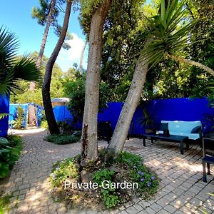 Studio With Beautiful Private Garden On The Forest In Domino Διαμέρισμα Les Sables Vignier Exterior photo