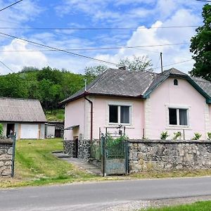 Vakantiehuis Vendeghaz Sylvatica Βίλα Bukkszentmarton Exterior photo