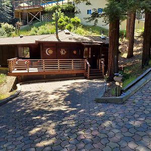 Redwood Retreat Walk To Downtown Mt Tam Muir Woods Βίλα Mill Valley Exterior photo