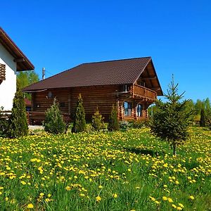 Pensiunea Lacul Mocearu Ξενοδοχείο Budesti  Exterior photo