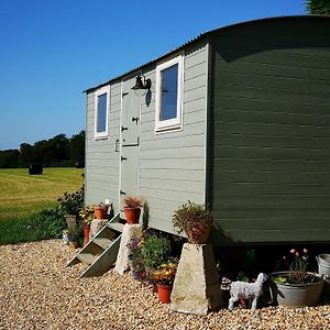 Luxury Shepherd'S Hut - The Hyde Διαμέρισμα Ρίντινγκ Exterior photo