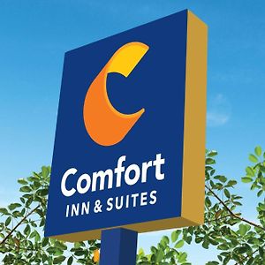 Comfort Inn & Suites Χάρισμπουργκ Exterior photo