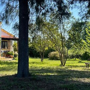 Quinta Dos Trevos - Artes E Oficios Βίλα Ladoeiro Exterior photo