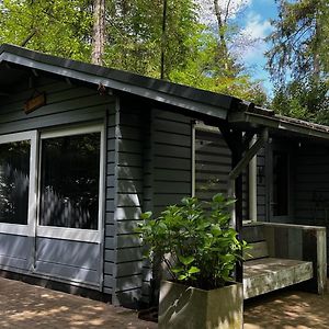 Dreamwoodz - Een Droomchalet Op De Veluwe Laag-Soeren Exterior photo