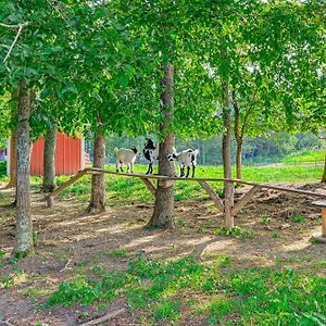 Almost Heaven Too 50-Acre Escape With Pond! Βίλα Brownsville Exterior photo