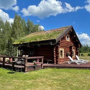 Paeikseranna Holiday Centre Βίλα Nedsaja Exterior photo