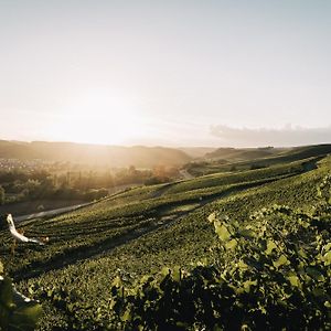 Weingut Und Gaestehaus Holger Alt Ξενοδοχείο Monzingen Exterior photo