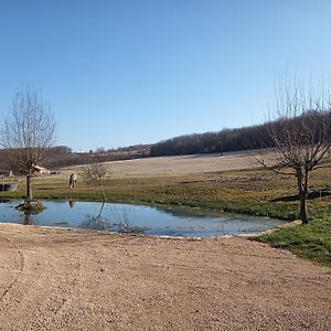 Manoir Charmant A Mancey Avec Grande Terrasse Βίλα Exterior photo