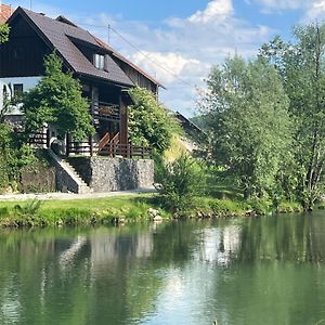 Riverside House Krka Βίλα Zagradec Exterior photo