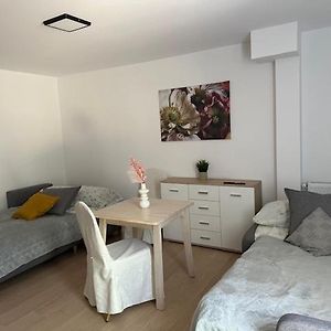 Apartament Nr 1 Lub 2 Przy Sali Kominkowej Διαμέρισμα Przeczyce Exterior photo