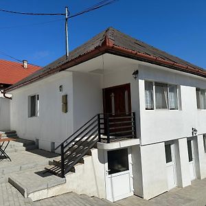 Szekeres Vendeghaz Ξενοδοχείο Corund  Exterior photo