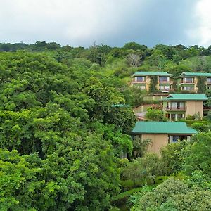 Ficus Sunset Suites Monteverde Exterior photo