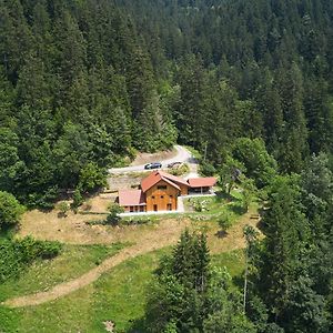 Vista Larix Chalet Βίλα Ljubno Exterior photo