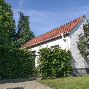 Ferienhaus Im Mueritz-Nationalpark In Mirow Βίλα Exterior photo