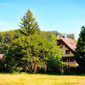 Nisihof, Abendblick Bed and Breakfast Oberkirch Exterior photo