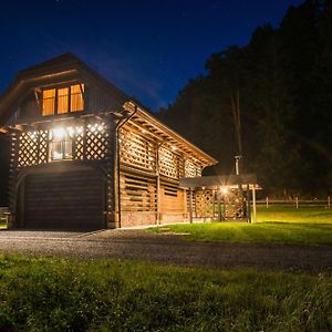 Hayrack Skok Mozirje Διαμέρισμα Exterior photo