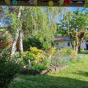 Les Cedres Bleus Bed and Breakfast Saint-Medard-de-Mussidan Exterior photo