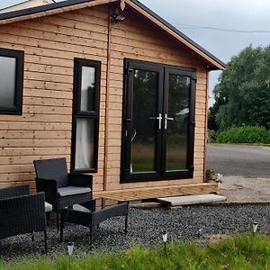 Cosy Log Cabin With Views Of Scrabo Tower Βίλα Comber Exterior photo