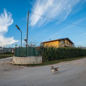 Roberta House Bed and Breakfast Ισέρνια Exterior photo