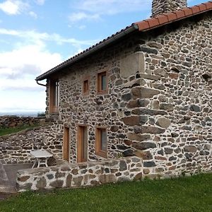 Charmante Maison Dans Les Gorges De La Loire Avec Terrasses Et Poele A Bois - Fr-1-582-319 Βίλα Retournac Exterior photo