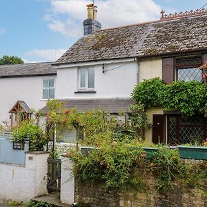 Kestrel Cottage Τάβιστοκ Exterior photo