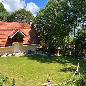 Mountain Vila In Ponikva Βίλα Κότσανη Exterior photo