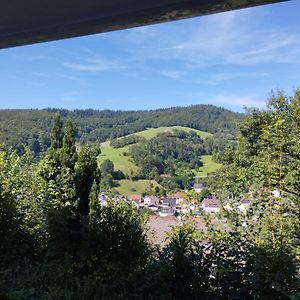 Das Tor Zum Odenwald Διαμέρισμα Gorxheimertal Exterior photo