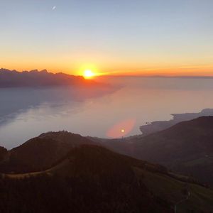 Les Dents-Du-Midi Διαμέρισμα Monthey Exterior photo