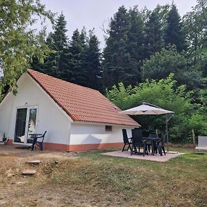 Mon Chalet En Ariege Avec Piscine Βίλα Daumazan-sur-Arize Exterior photo