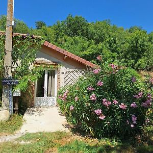 La Ferme Aux Oeufs Bleus Βίλα Carla-Bayle Exterior photo