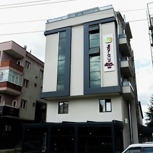 Saraydeluxepremium Otel Ιζμίτ Exterior photo