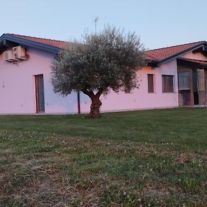 Ta Jevada Ξενοδοχείο Villa Vicentina Exterior photo