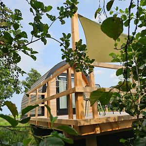 Tiny House De Skierroek Ξενοδοχείο Westergeest Exterior photo