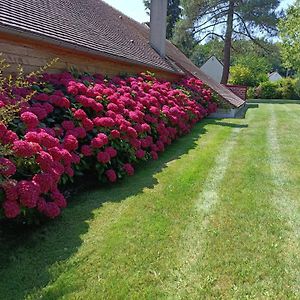 Gite De Miprovent Ξενοδοχείο Lamotte-Beuvron Exterior photo