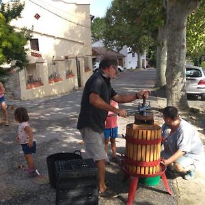 Ven A Hacer Tu Propio Vino - Solo 6-8 Septiembre Βίλα El Pla de Manlleu Exterior photo