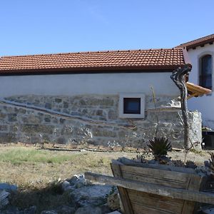 Casa Da Lima - Nestled In Nature On Santiago'S And Fatima'S Path, Close To Coimbra And Rabacal Ξενοδοχείο Alvorge Exterior photo