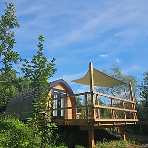 Tiny House De Piiptsjilling Ξενοδοχείο Westergeest Exterior photo