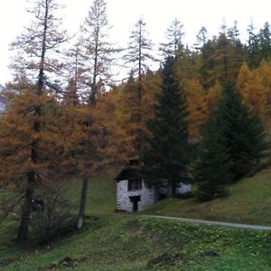 Rustico Bersacola Βίλα Bosco Gurin Exterior photo