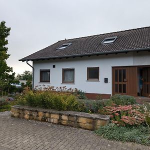 Pfaelzerdrachennest Διαμέρισμα Neustadt an der Weinstraße Exterior photo