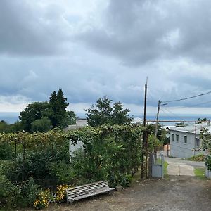 Zukas Guest House Μπατούμι Exterior photo