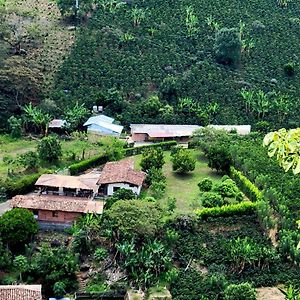 Finca Hostal Valle Claro Ξενοδοχείο Betania Exterior photo