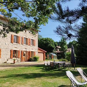 Paradis Auvergnat: Gite Tout Confort, Nature, Randos, Equipements Sportifs Et Accueil Chaleureux - Fr-1-582-346 Βίλα Craponne-sur-Arzon Exterior photo