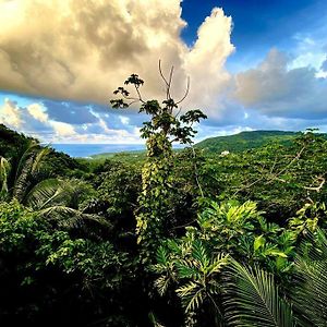 Magical San San Port Antonio Close To Blue Lagoon Frenchman'S Cove Βίλα Exterior photo