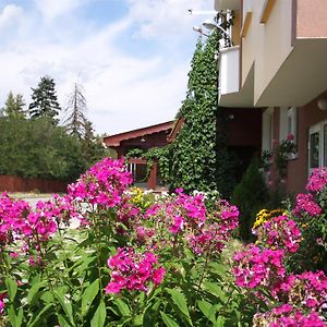 Zodiac House Ξενοδοχείο Σάμοκοβ Exterior photo