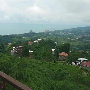 Green Side - Olegi Ξενοδοχείο Kobuleti Exterior photo