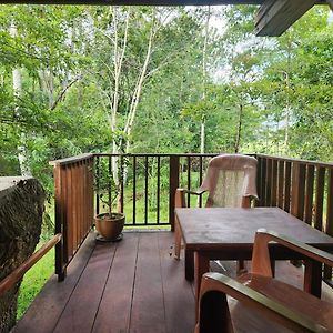 Wilpattu Tree House Bed and Breakfast Nochchiyagama Exterior photo