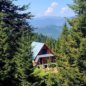 Არწივის Ბუდე Eagle'S Nest Βίλα Goderdzi Exterior photo