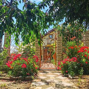 Casa Madalina Ξενοδοχείο Jurilovca Exterior photo